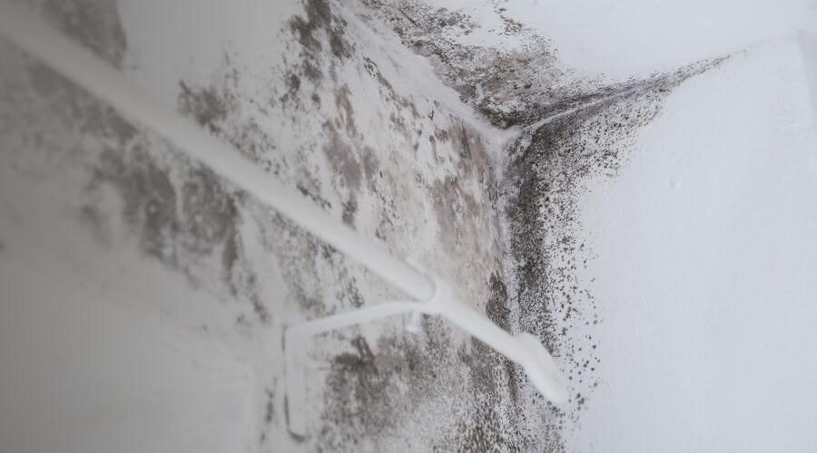 Why choose water damage restoration service for burst pipe water damage in Newburgh